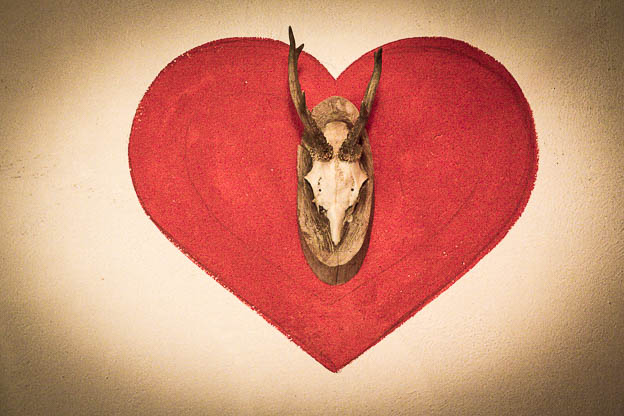 © Till Erdmenger – Businessfotos