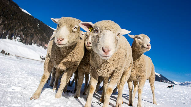 © Till Erdmenger – Businessfotos