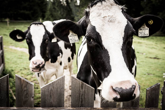 © Till Erdmenger - Businessfotos