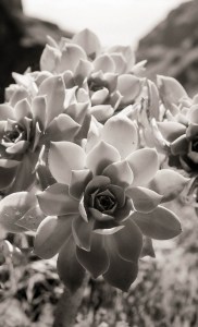 Gran Canaria © Till Erdmenger – Businessfotos