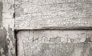 Gran Canaria © Till Erdmenger – Businessfotos