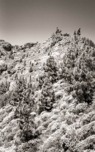 Gran Canaria © Till Erdmenger – Businessfotos