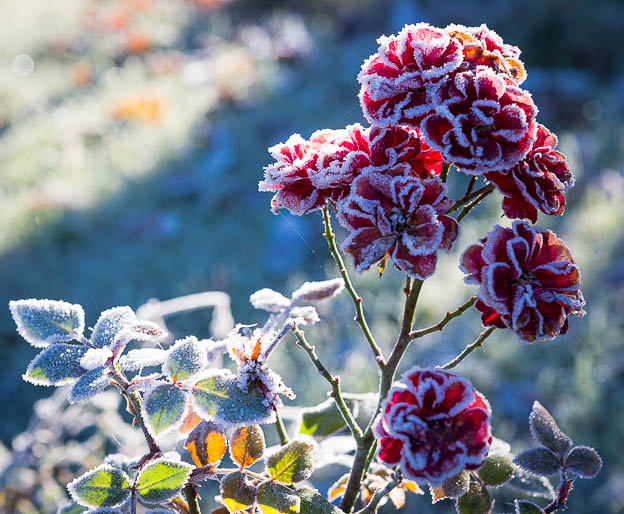 20161204_unbenannt_0064