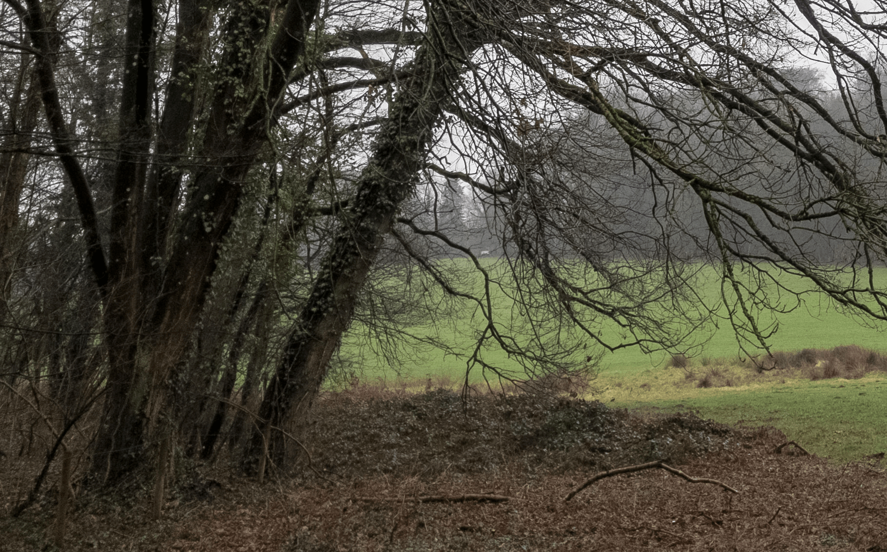 Bildschirmfoto 2017-03-07 um 11.48.17.png