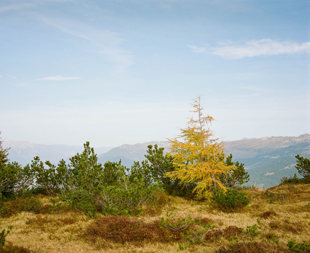 Analogfotografie: It still&nbsp;matters