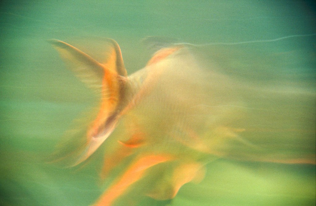 Balsam für die&nbsp;Seele