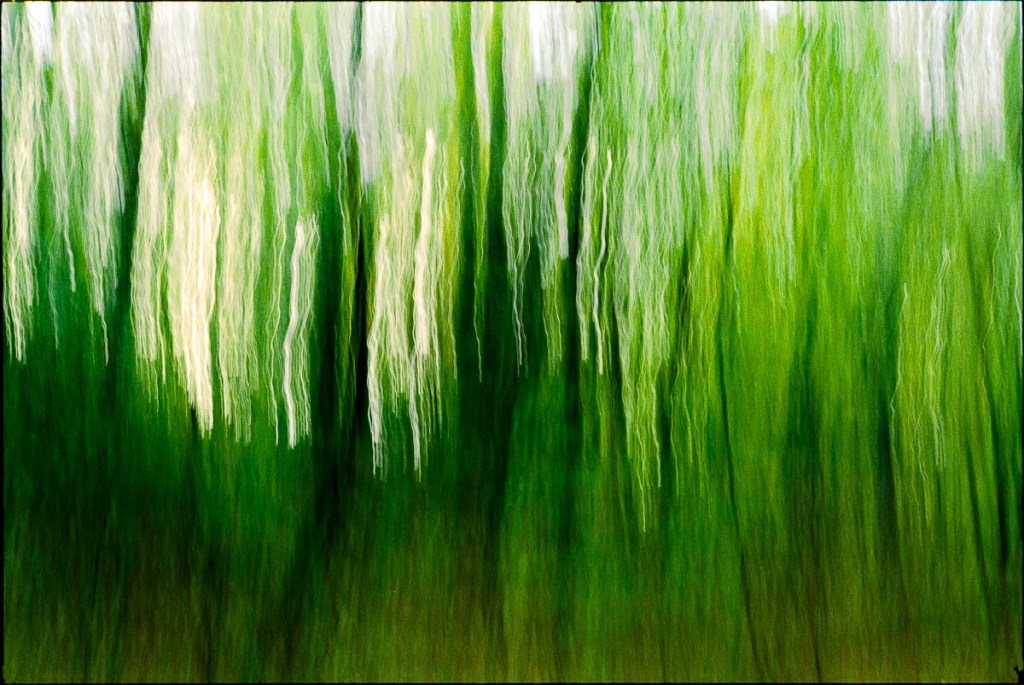 Artlog: Abstrakter Herbstwald