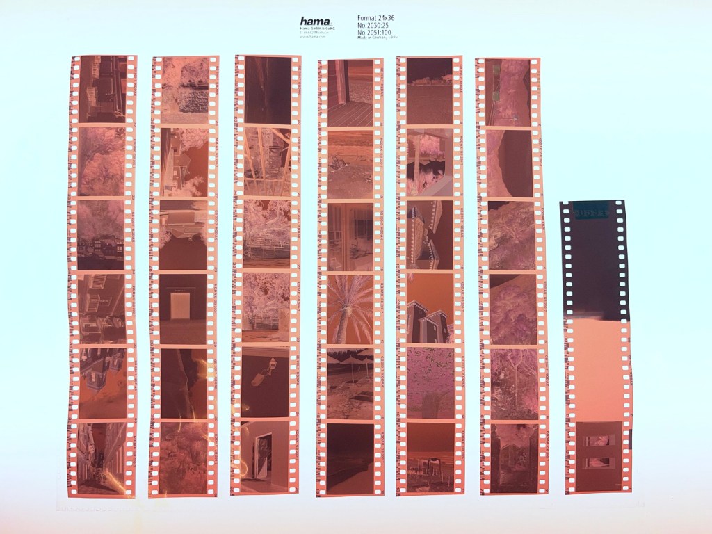 Wie leichtgläubig wir doch sind&nbsp;…